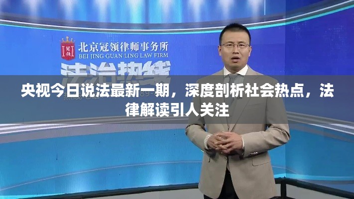 央视今日说法最新一期，深度剖析社会热点，法律解读引人关注