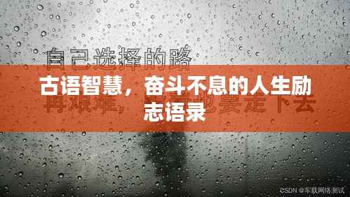 古语智慧，奋斗不息的人生励志语录