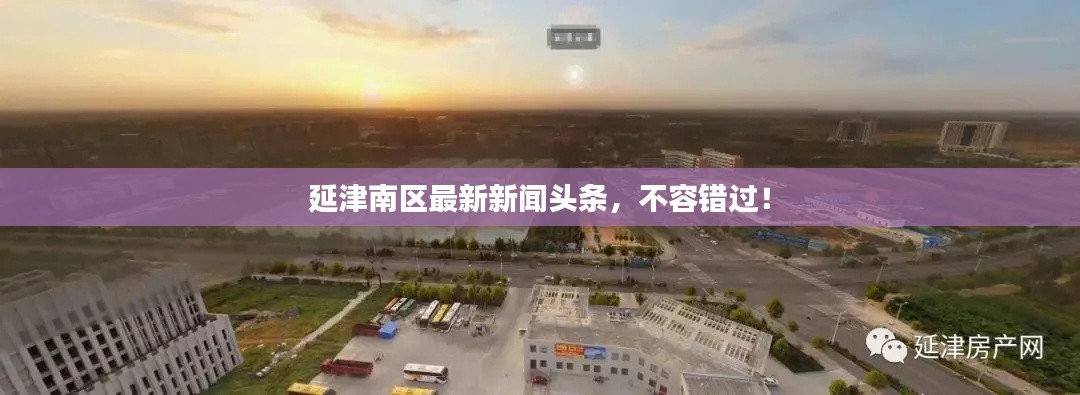 延津南区最新新闻头条，不容错过！