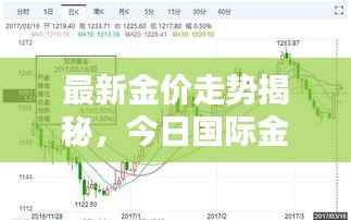 最新金价走势揭秘，今日国际金价分析与预测