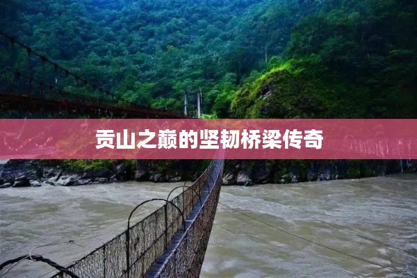 贡山之巅的坚韧桥梁传奇