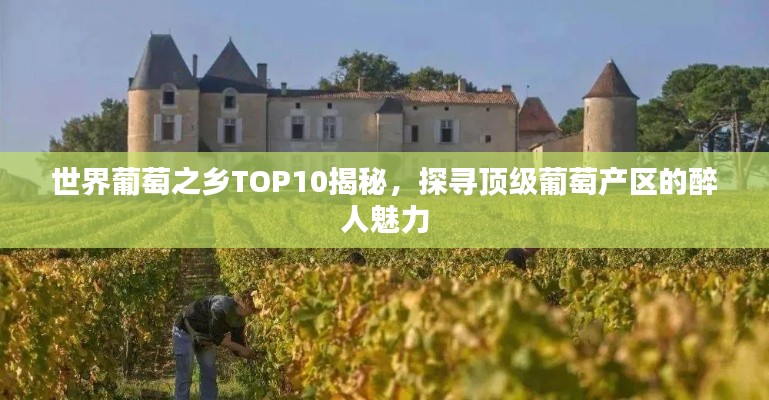 矢志不渝 第4页