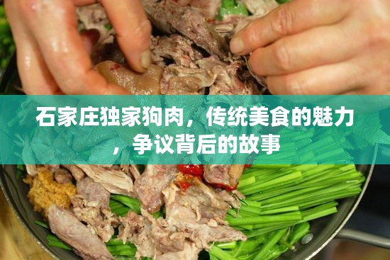 石家庄独家狗肉，传统美食的魅力，争议背后的故事