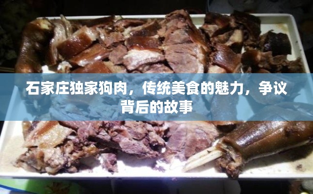 石家庄独家狗肉,传统美食的魅力,争议背后的故事