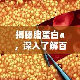 揭秘脂蛋白a，深入了解百度搜索结果中的医学奥秘