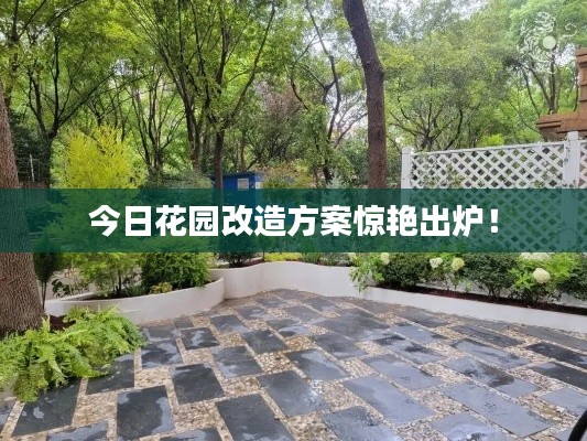 今日花园改造方案惊艳出炉！