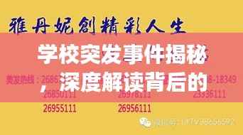 学校突发事件揭秘,深度解读背后的真相与应对之道