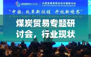 煤炭贸易专题研讨会，行业现状与发展趋势深度探讨