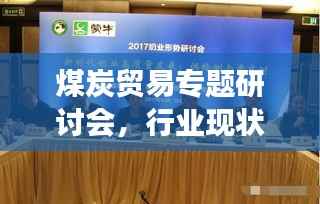 煤炭贸易专题研讨会,行业现状与发展趋势深度探讨
