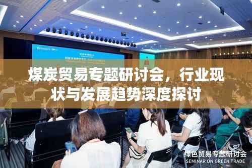 煤炭贸易专题研讨会,行业现状与发展趋势深度探讨