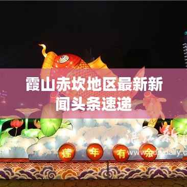 霞山赤坎地区最新新闻头条速递