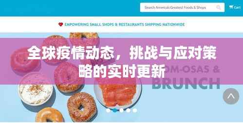全球疫情动态，挑战与应对策略的实时更新
