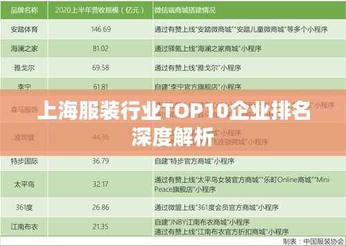 上海服装行业TOP10企业排名深度解析