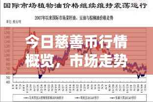 今日慈善币行情概览，市场走势、前景展望与深度解析