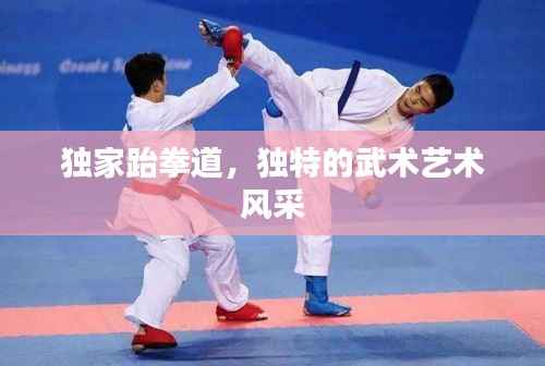 独家跆拳道,独特的武术艺术风采
