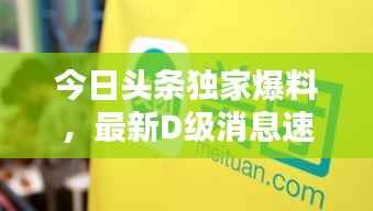今日头条独家爆料，最新D级消息速递！