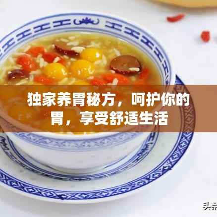 独家养胃秘方，呵护你的胃，享受舒适生活