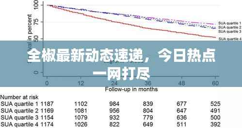 全椒最新动态速递，今日热点一网打尽