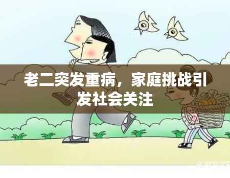 老二突发重病,家庭挑战引发社会关注