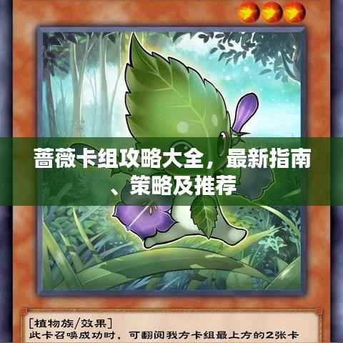 蔷薇卡组攻略大全，最新指南、策略及推荐