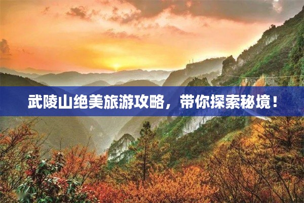 武陵山绝美旅游攻略，带你探索秘境！