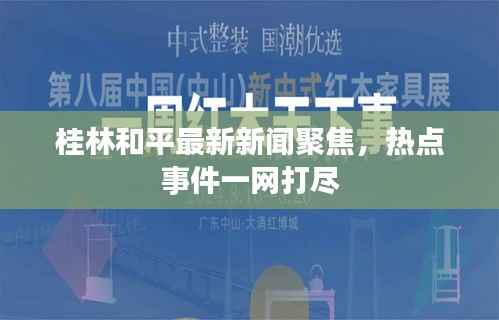 桂林和平最新新闻聚焦，热点事件一网打尽