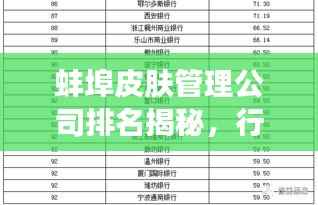 蚌埠皮肤管理公司排名揭秘，行业深度洞察报告
