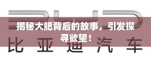 揭秘大肥背后的故事，引发探寻欲望！