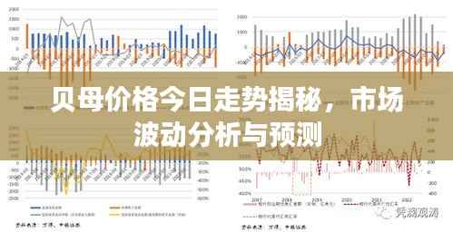 贝母价格今日走势揭秘，市场波动分析与预测