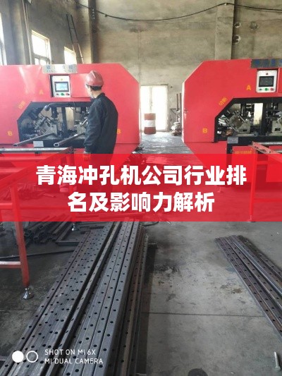 青海冲孔机公司行业排名及影响力解析