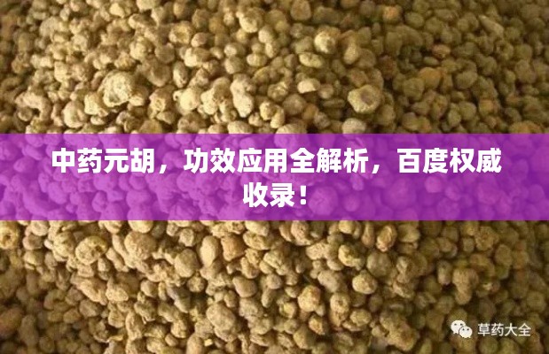 中药元胡，功效应用全解析，百度权威收录！