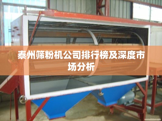 泰州筛粉机公司排行榜及深度市场分析