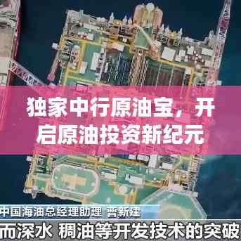 删华就素 第4页