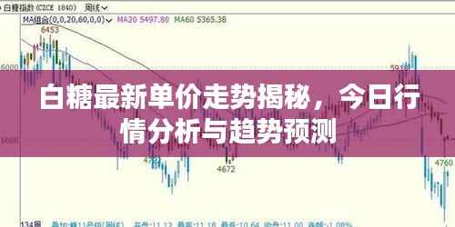 白糖最新单价走势揭秘，今日行情分析与趋势预测
