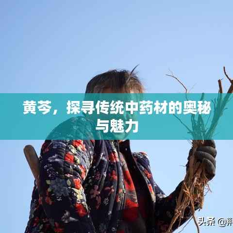 既往不咎 第4页