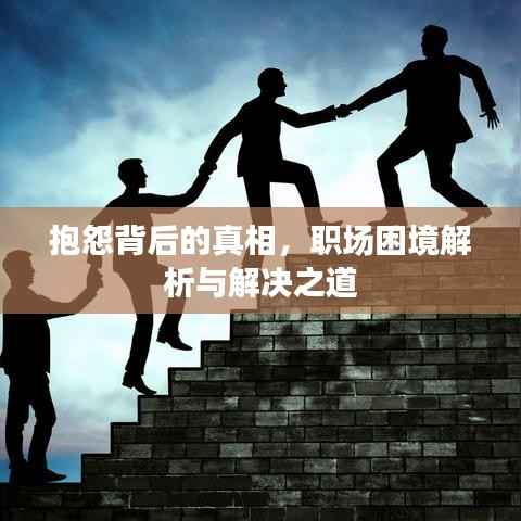 抱怨背后的真相，职场困境解析与解决之道