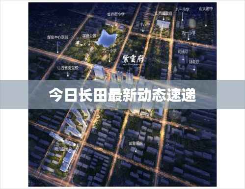 今日长田最新动态速递