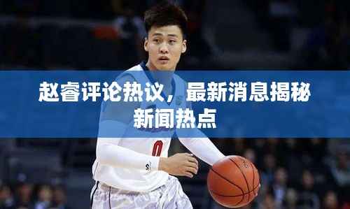 赵睿评论热议，最新消息揭秘新闻热点