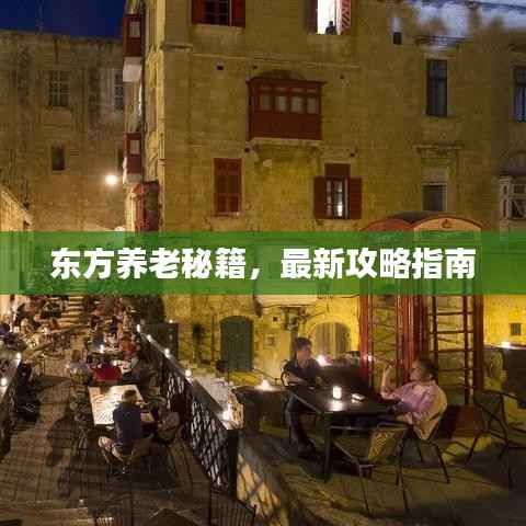 东方养老秘籍,最新攻略指南