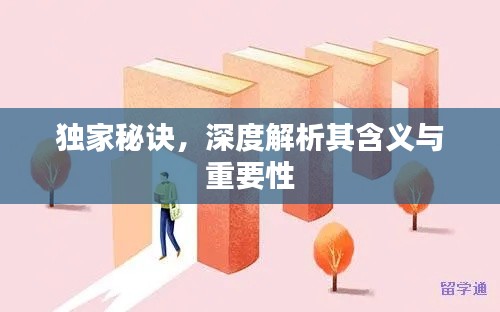 独家秘诀，深度解析其含义与重要性