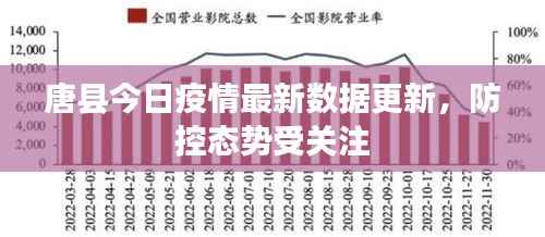 唐县今日疫情最新数据更新，防控态势受关注