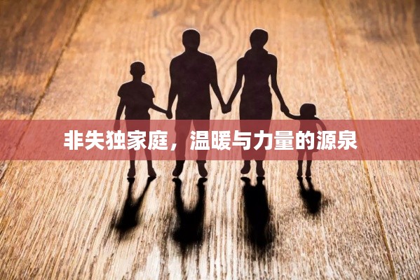 非失独家庭，温暖与力量的源泉