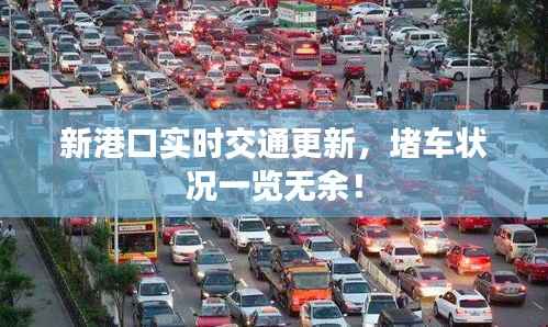 新港口实时交通更新，堵车状况一览无余！