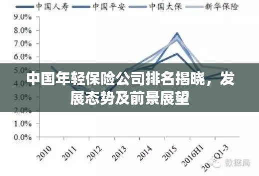 中国年轻保险公司排名揭晓，发展态势及前景展望