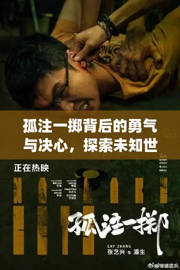 孤注一掷背后的勇气与决心，探索未知世界的最新头条文章在线阅读