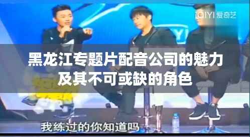 黑龙江专题片配音公司的魅力及其不可或缺的角色