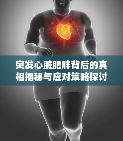 突发心脏肥胖背后的真相揭秘与应对策略探讨