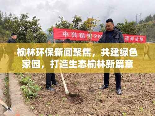 榆林环保新闻聚焦，共建绿色家园，打造生态榆林新篇章