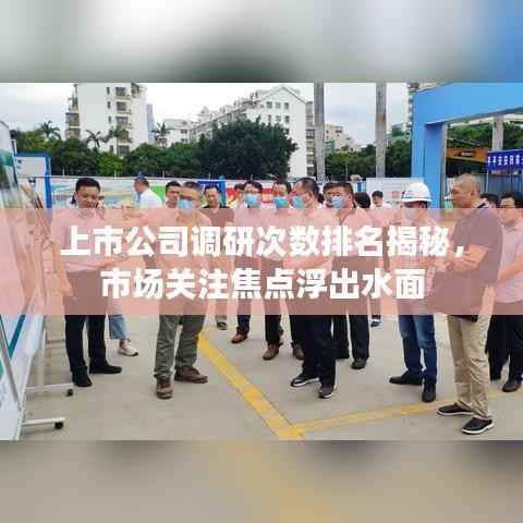 上市公司调研次数排名揭秘，市场关注焦点浮出水面