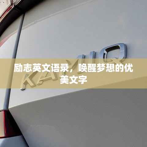 张灯挂彩 第4页